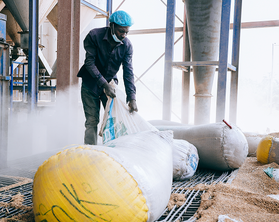 Worker with grain bags